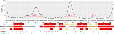 Computational Studies of the Structural Basis of Human RPS19 Mutations Associated With Diamond-Blackfan Anemia